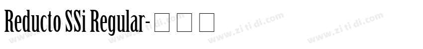 Reducto SSi Regular字体转换